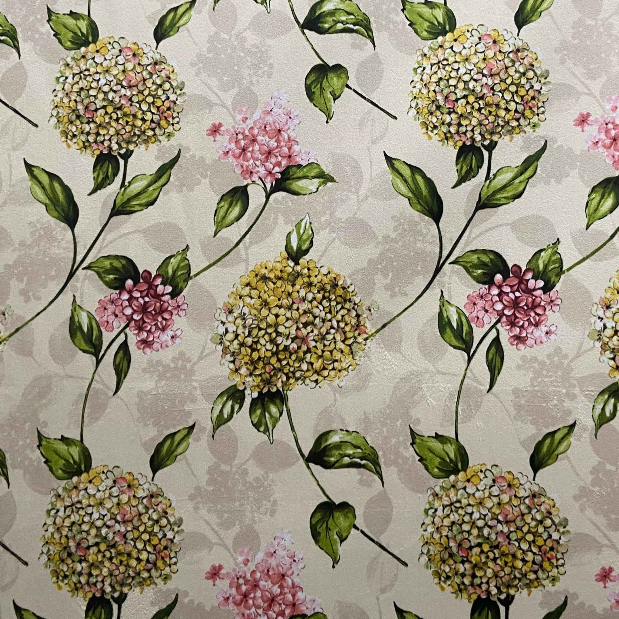 Pattern of Green Hydrangea on taupe background